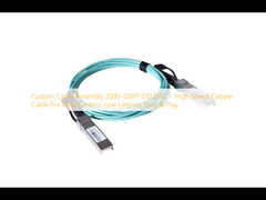 Προσαρμοσμένη συναρμολόγηση καλωδίων 200G QSFP-DD DAC   High Speed Copper Cable για κέντρα δεδομένων, χαμηλή καθυστέρηση, Plug & Play